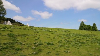 芝生の丘