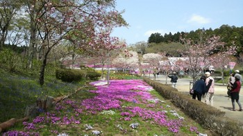 八重桜まつり・静峰ふるさと公園